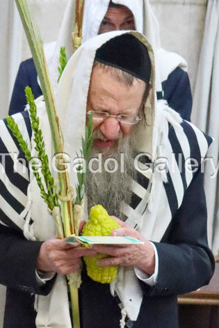 Rav Yitzchok Sorotzkin - רב אברהם יצחק סורוצקין