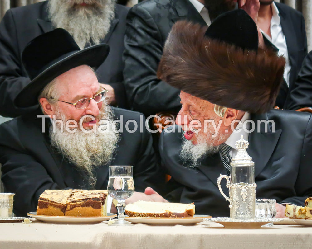 The Kopyczynitzer & Stoliner Rebbe - האדמורי"ם מקופיטשניץ וקרלין-סטולין