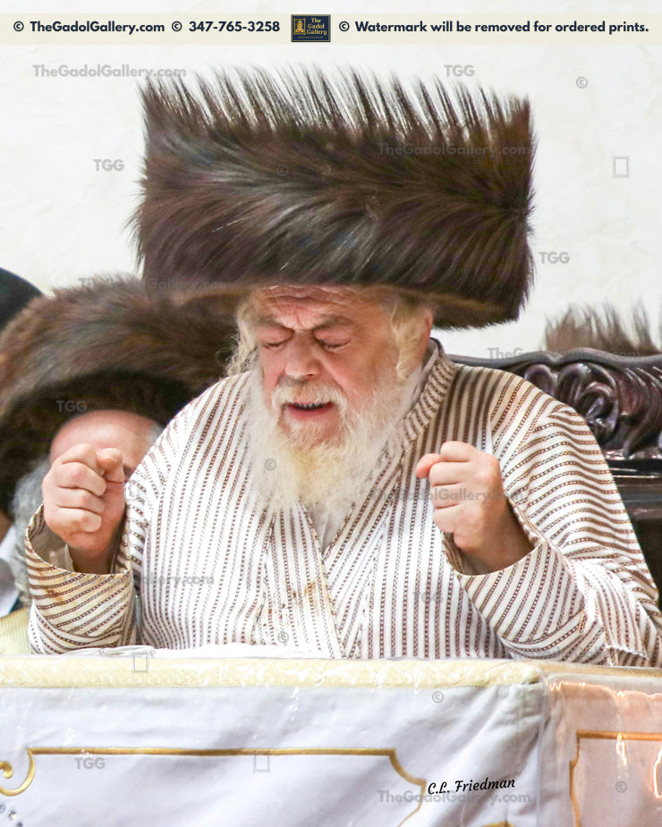 The Toldos Ahron Rebbe -4- האדמו"ר מתולדות אהרן