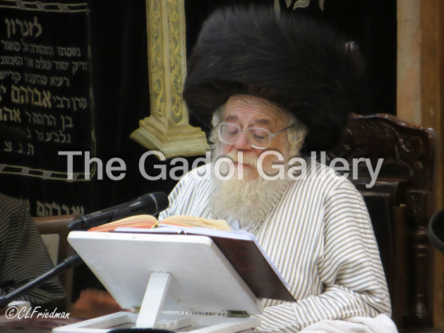 The Toldos Aharon Rebbe