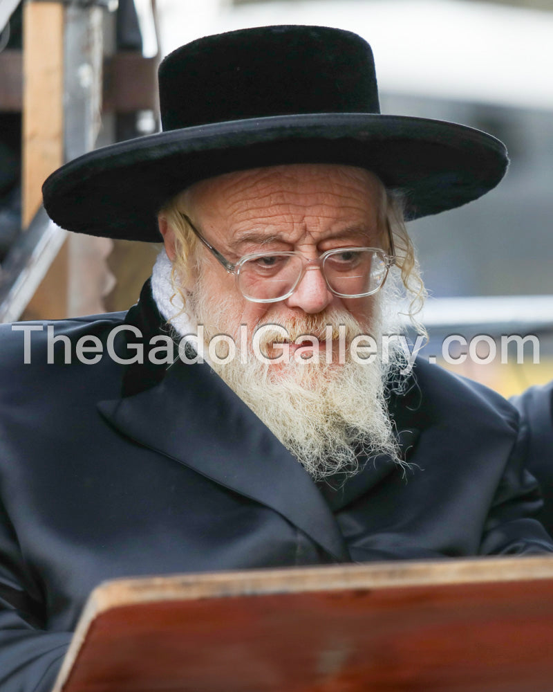 The Toldos Aharon Rebbe