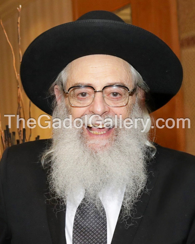Rav Dovid Trenk -2- רב מנחם יחיאל דוד טרענק