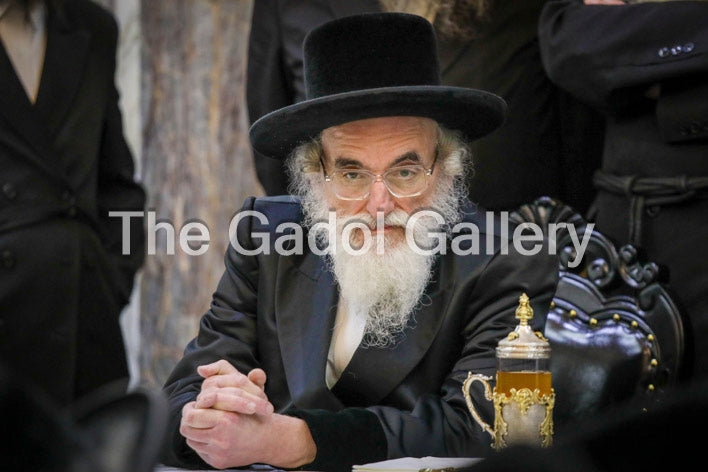 The Viznitz Mercaz Rebbe - Rav Mendel Hager