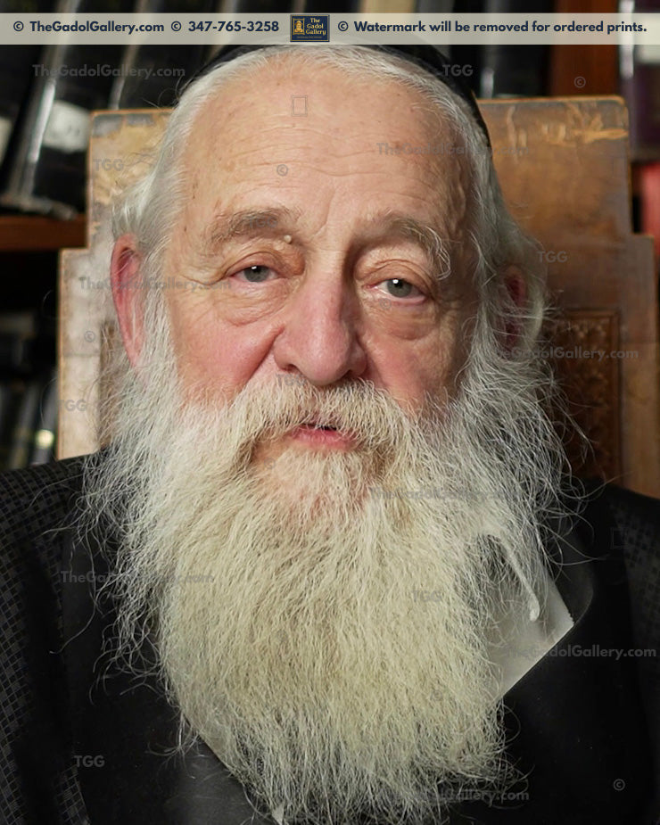 Rav Elya Ber Wachtfogel 1 - רב אלי' בער וכטפוגל
