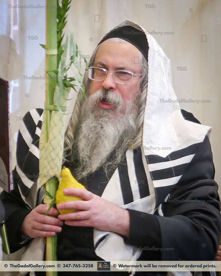 Tolna Rebbe, Rav Yitzchok Menachem Weinberg - האדמו"ר מטאלנא