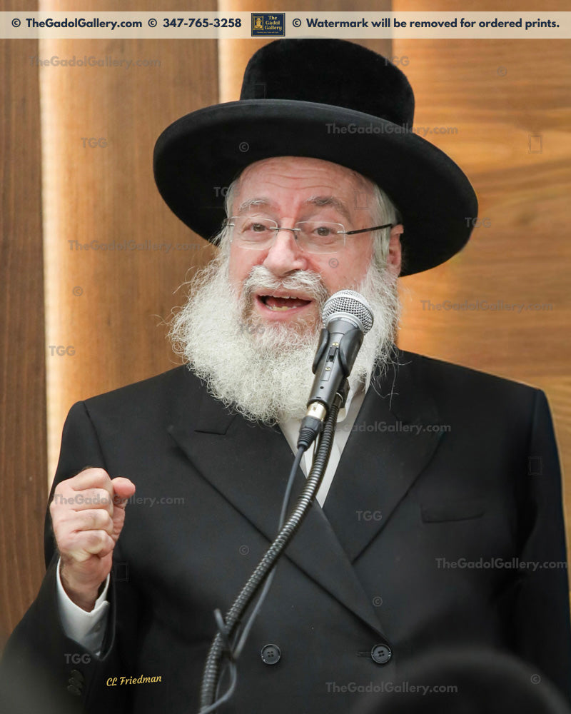 Rav Asher Weiss 2