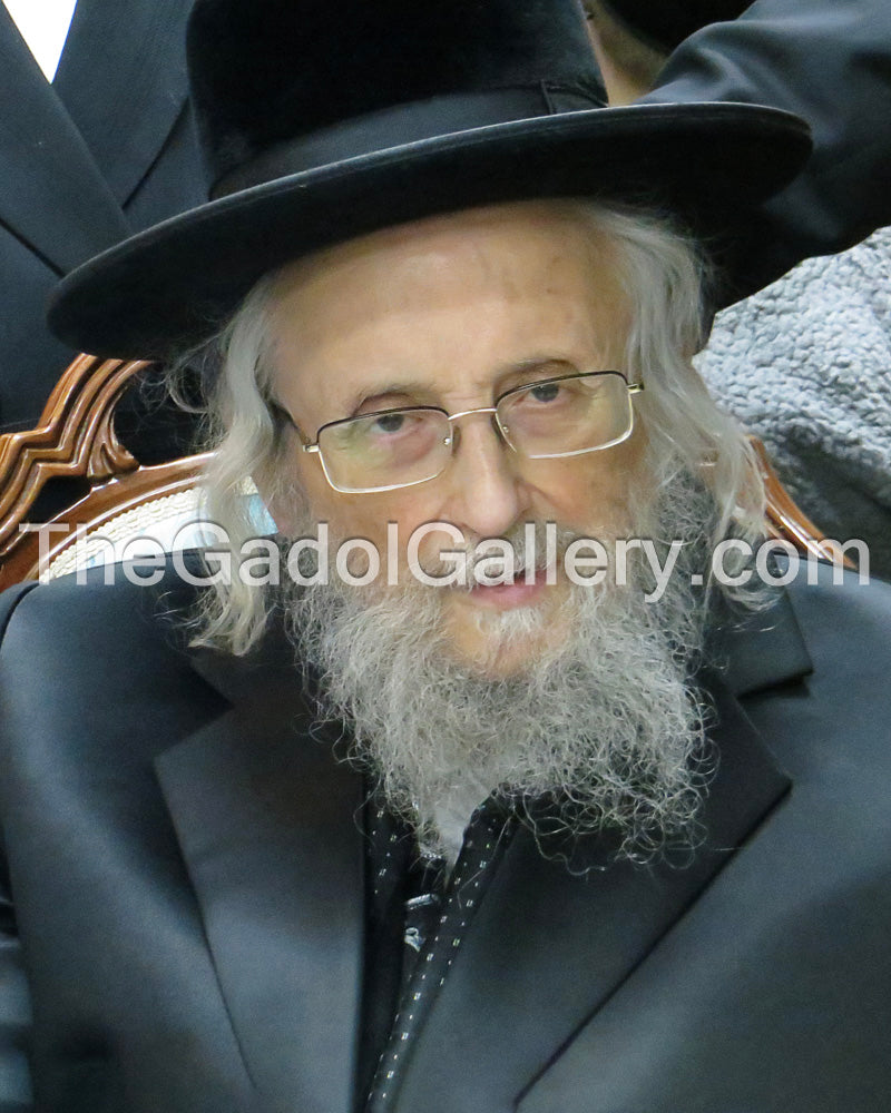 The Ga'avad, Rav Yitzchok Tuvia Weiss -3- רב יצחק טוביה ווייס Sukkah Poster