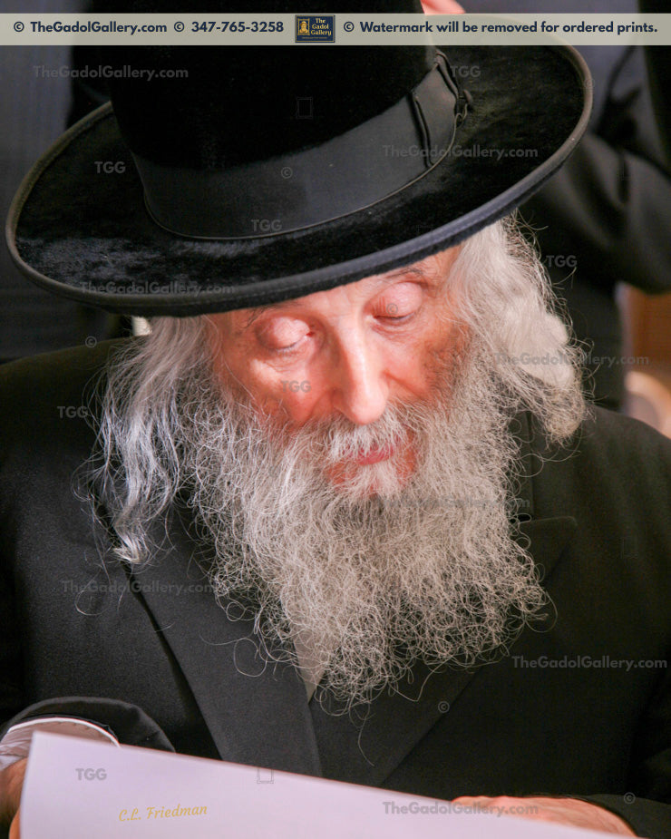 The Ga'avad, Rav Yitzchok Tuvia Weiss -1- רב יצחק טוביה ווייס