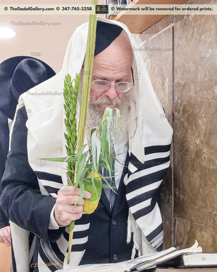Rav Yankel Whiteman