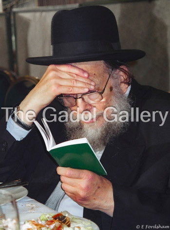 Rav Shlomo Wolbe - 2