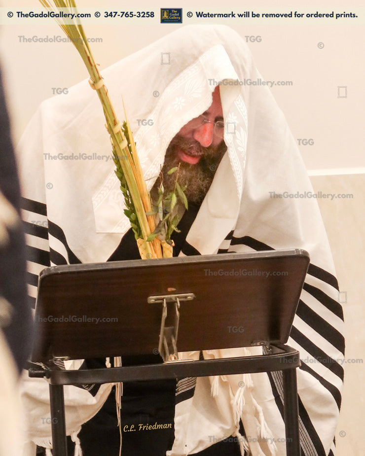 Rav Shmuel Zucker -3- רב שמואל צוקר