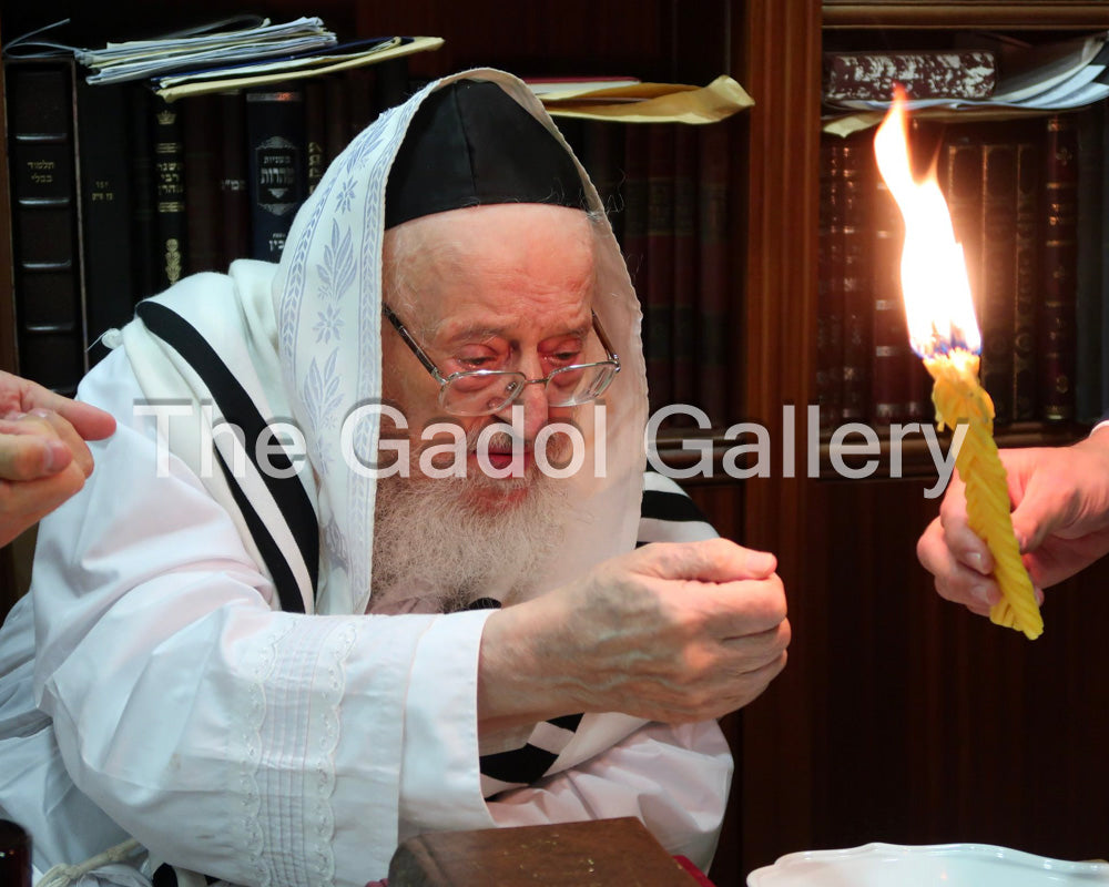 Rav Meir Tzvi Bergman