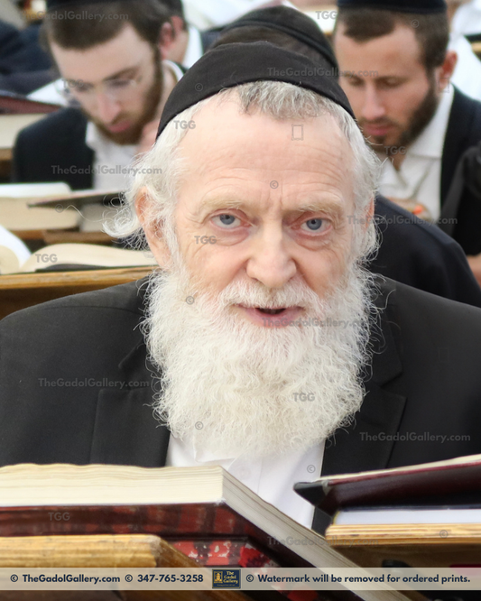 Rav Asher Arieli