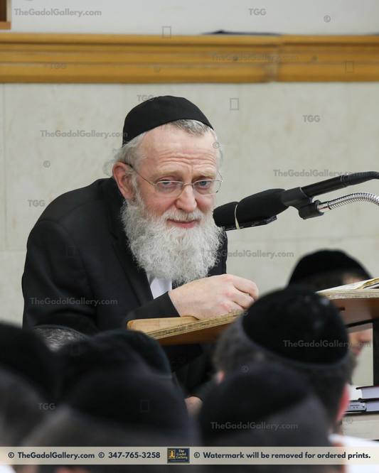 Rav Asher Arieli 5 (Portrait)