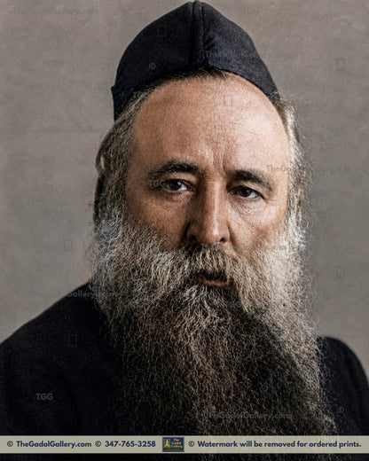 Rav Yechezkel Abramsky - Digitally Colored - רב יחזקאל אברמסקי