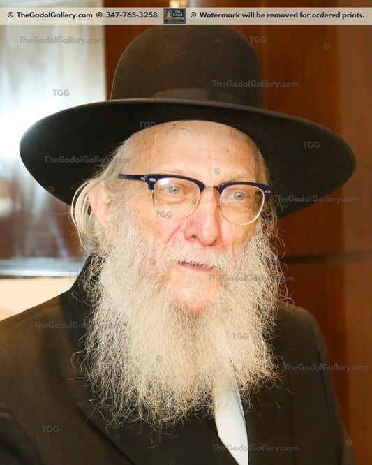 Rav Shimon Alster -1- הרב שמעון אלסטער