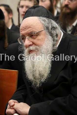 Rav Shaul Alter Sukkah Poster