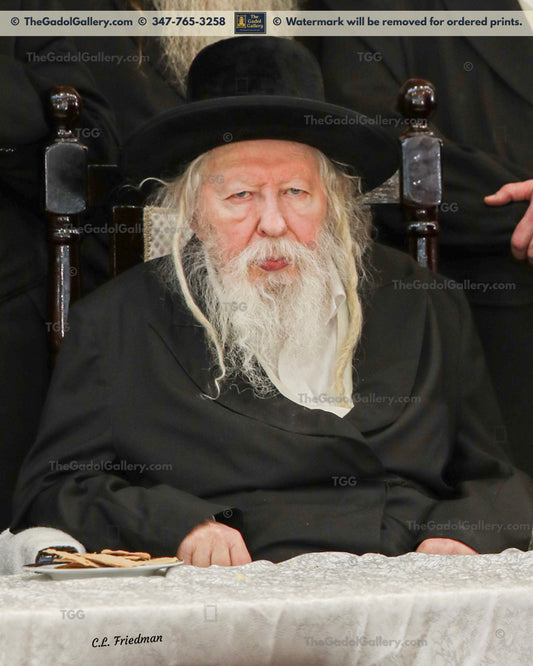 The Gerrer Rebbe - Rav Yaakov Alter - 1 - האדמור מגור