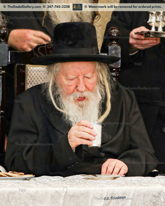 The Gerrer Rebbe - Rav Yaakov Alter - 2 - האדמור מגור