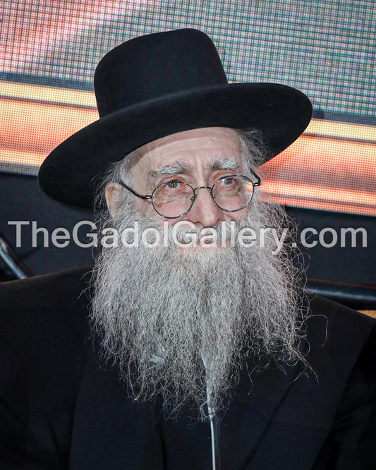 Rav Shlomo Avigdor Altusky Sukkah Poster