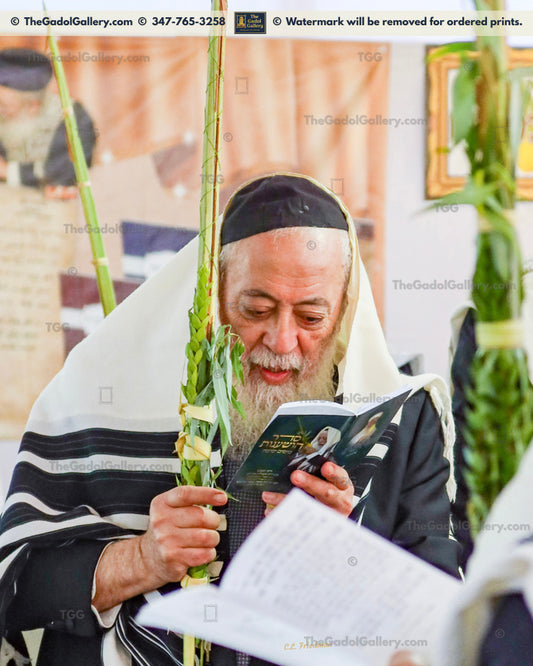 Rav Shlomo Amar - Lulav 1 - רב שלמה משה עמר