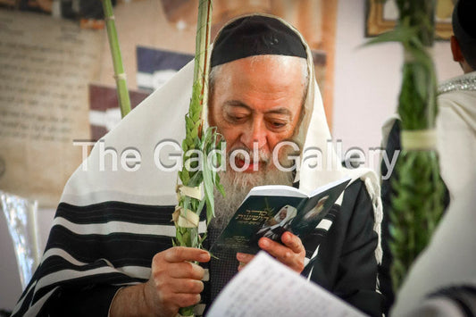 Rav Shlomo Amar - Sukkos 1 - רב שלמה משה עמר Sukkah Poster