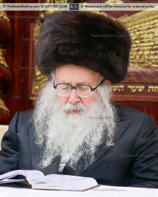 The Amshinov Rebbe