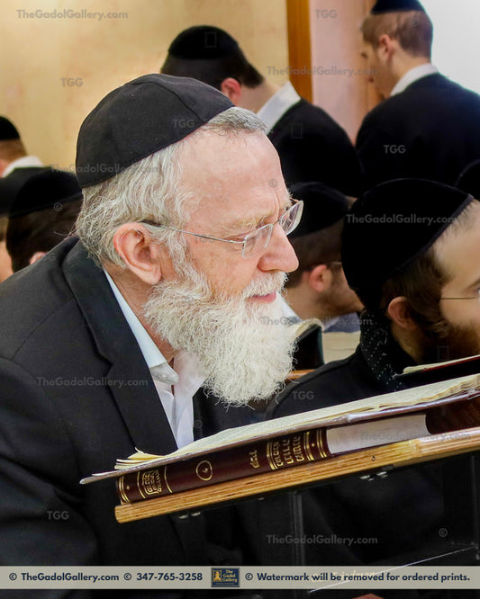 Rav Asher Arieli Beis Medrash (Portrait)