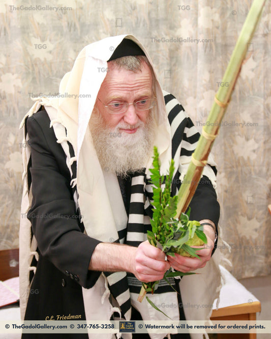 Rav Asher Arieli - Sukkos