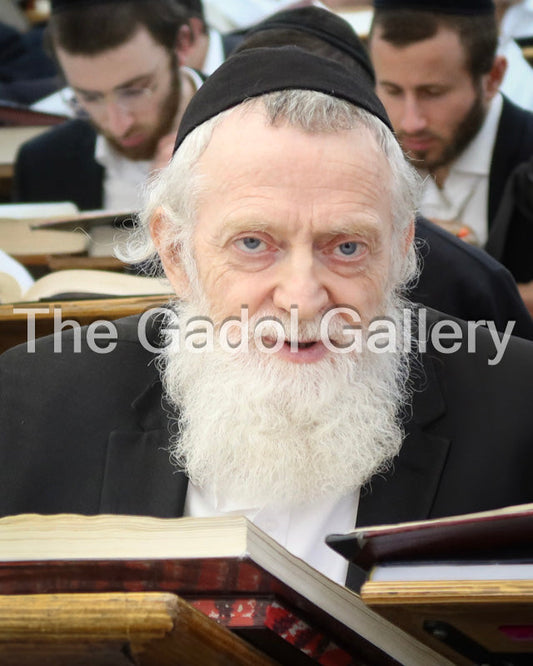 Rav Asher Arieli and Rav Gamliel Rabinowitz Sukkah Poster