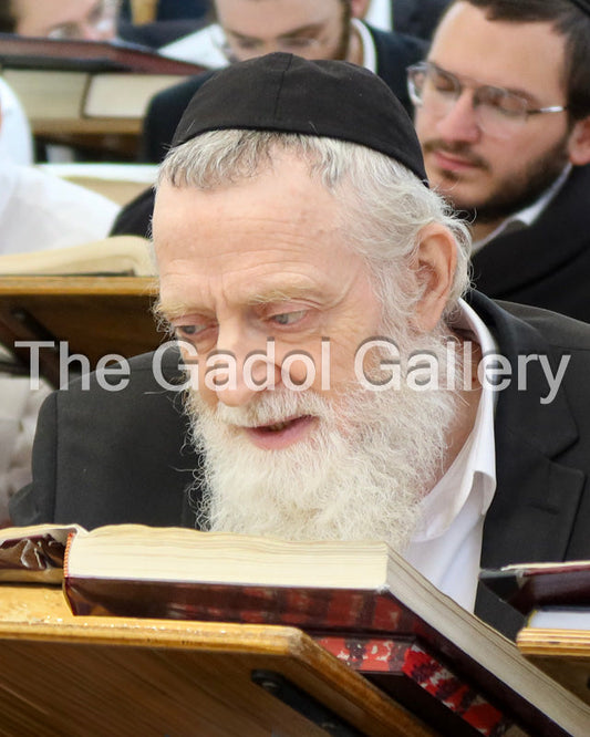 Rav Asher Arieli 3