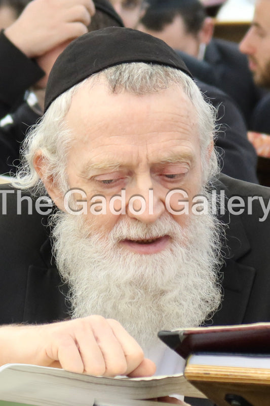 Rav Asher Arieli 4