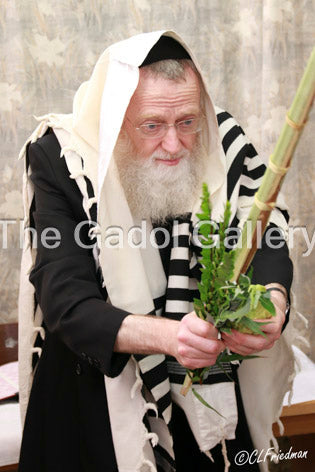 Rav Asher Arieli - Sukkos Sukkah Poster