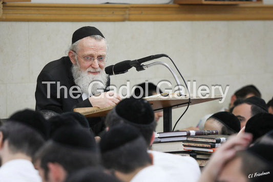 Rav Asher Arieli 5