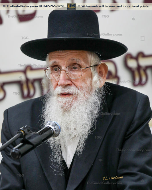 Rav Ezriel Aurbach