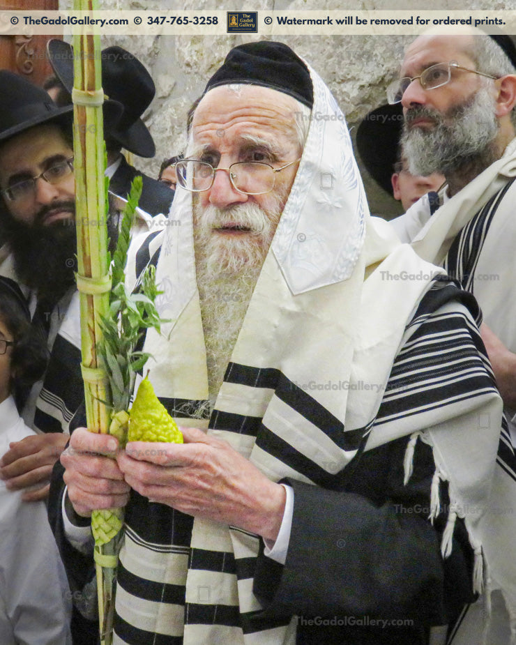 Rav Ezriel Aurbach 2 Sukkos