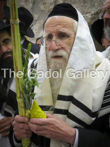 Rav Ezriel Aurbach Sukkos Sukkah Poster