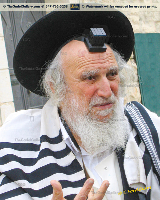 Rav Shmuel Auerbach -4F- רב שמואל אויערבאך