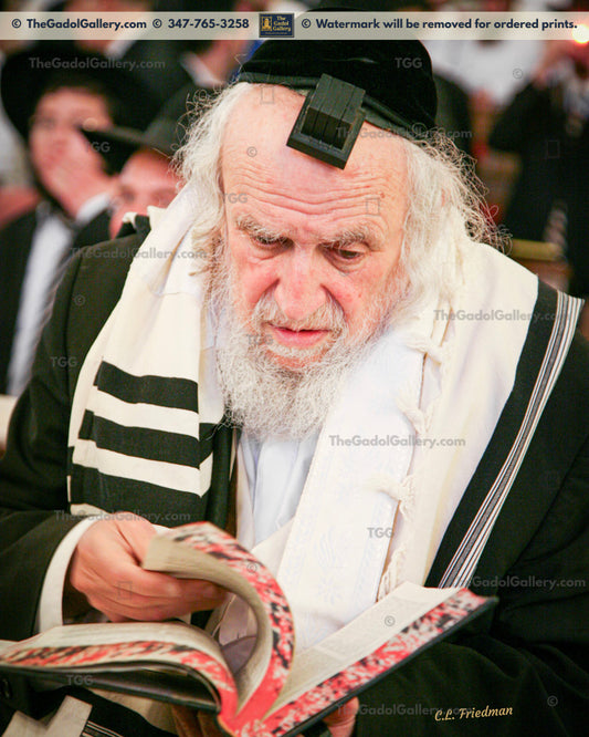 Rav Shmuel Auerbach -1SD- רב שמואל אויערבאך