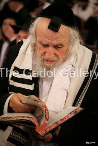Rav Shmuel Auerbach -1SD- רב שמואל אויערבאך