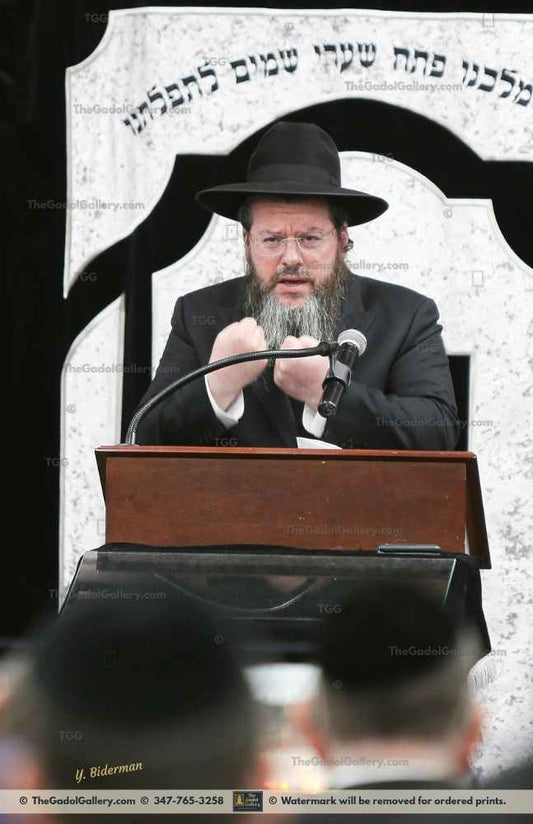 Rav Eliyahu Ausband -2- רב אליהו אוזבנד Sukkah Poster