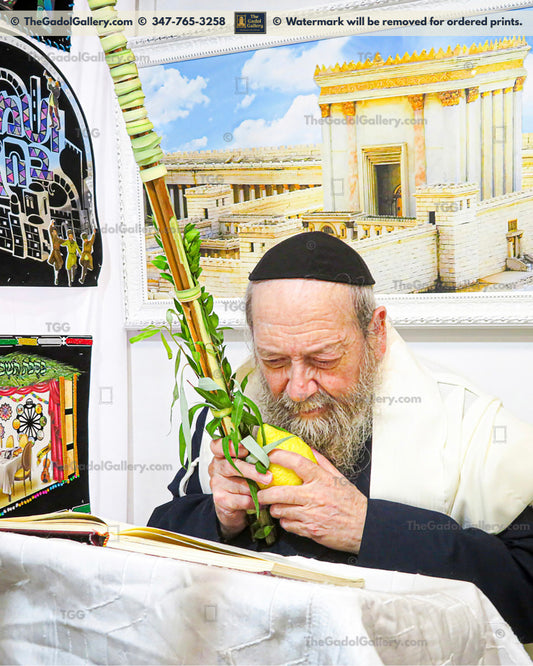 Rav Dovid Batzri -3- רב דוד בצרי