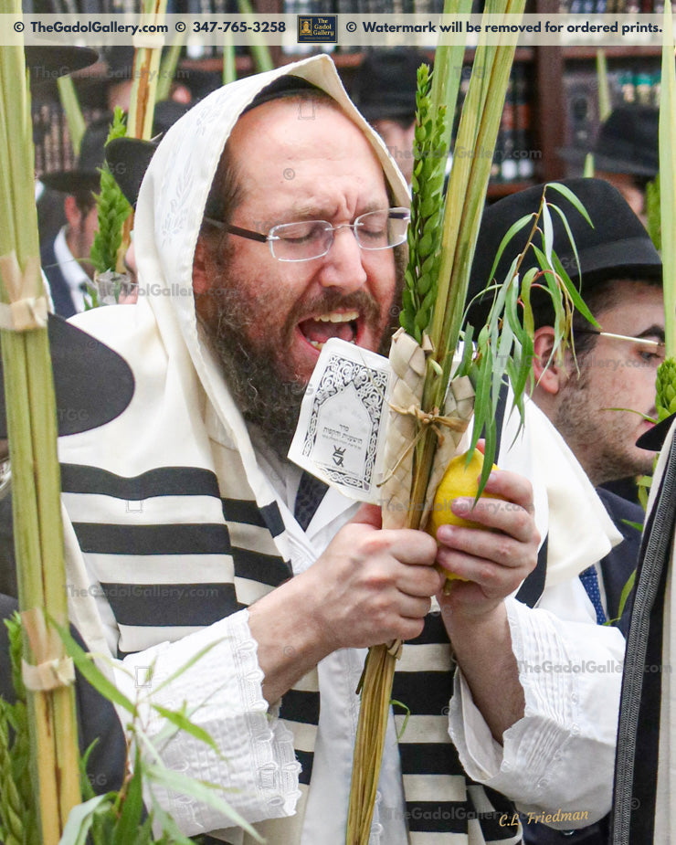 Rav Shmuel Bedil - 3