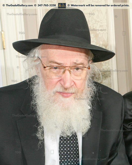 Rav Yisroel Belsky - 1