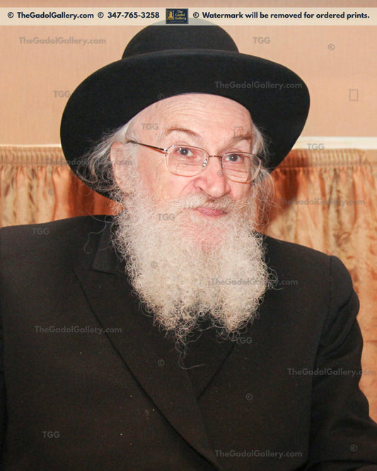 Rav Yisroel Belsky - 2