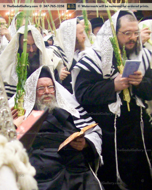 The Belzer Rebbe Lulav- האדמו"ר מבעלז