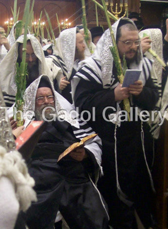 The Belzer Rebbe