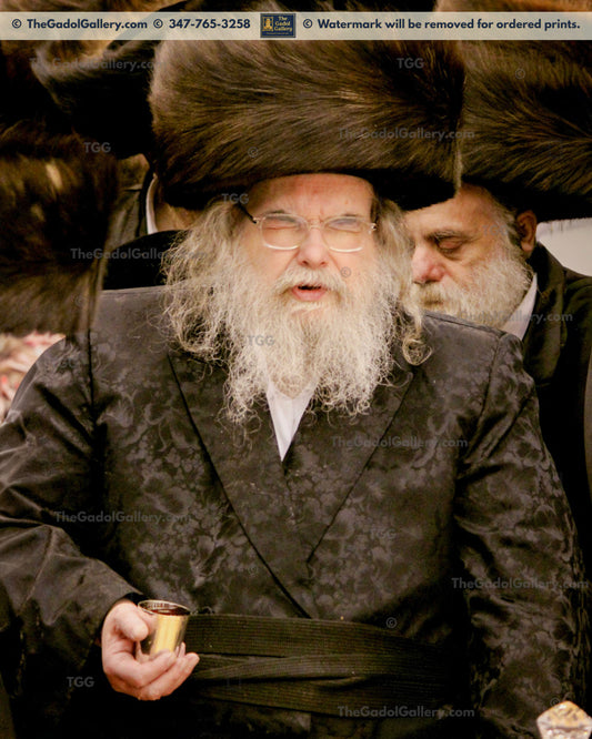 The Belzer Rebbe -2F- האדמו"ר מבעלז