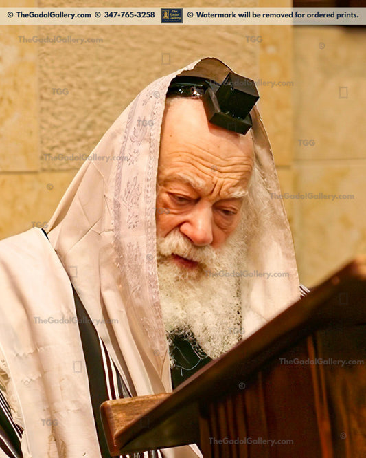 Rav Shmuel Berenbaum