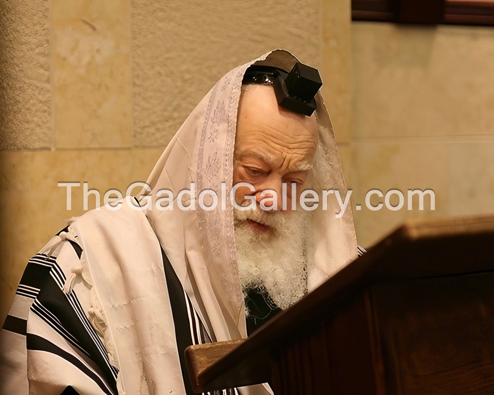 Rav Shmuel Berenbaum Sukkah Poster